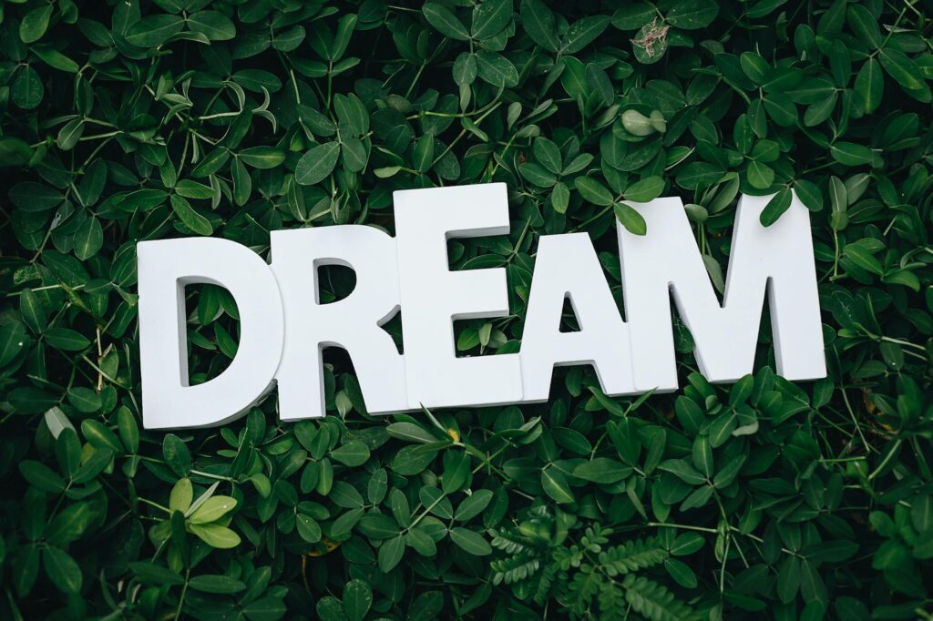 dream text on green leaves