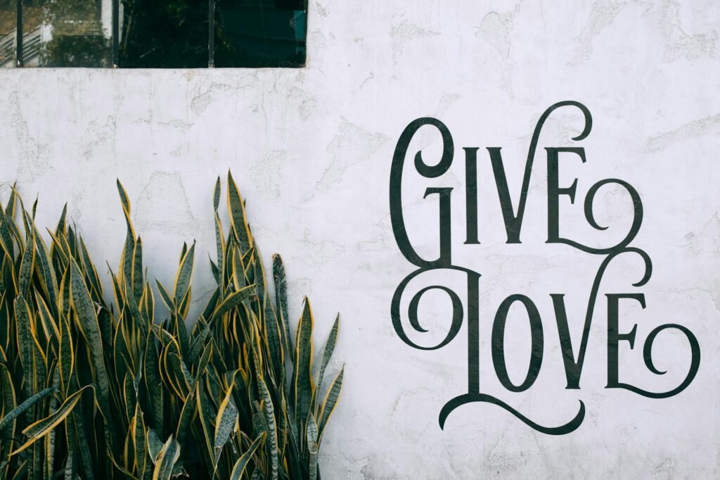 tropical dracaena trifasciata plant growing near wall with give love text